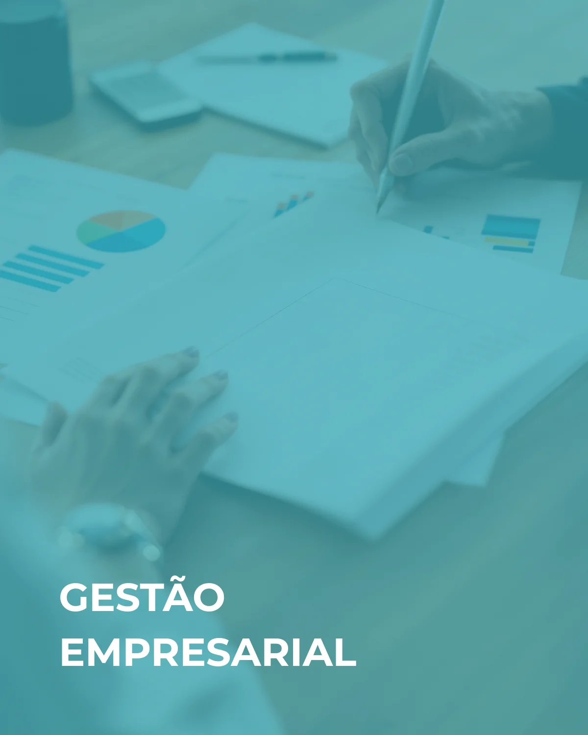 GESTÃO EMPRESARIAL